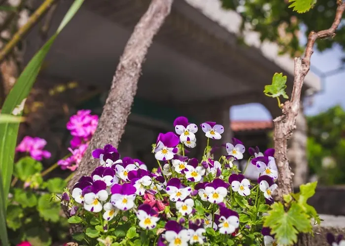 In With Balcony, Air Conditioning, Wifi, Washing Machine * Lopar