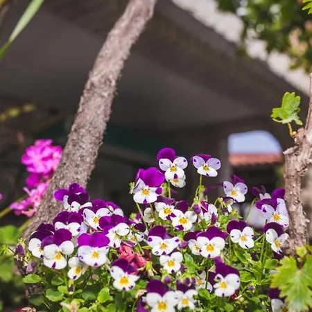 In With Balcony, Air Conditioning, Wifi, Washing Machine * Lopar